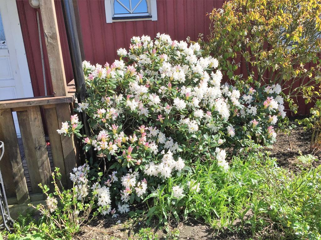 Mattisgarden Bed & Breakfast Östra Ljungby Exterior foto